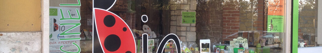 Decorazione auto aziendale e vetrina negozio con adesivi stampati ed intagliati