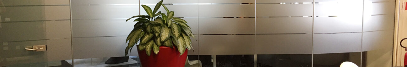 Decorazione di interni ufficio con pellicole intagliate effetto smerigliato veneta servizi