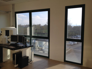 Decorazione finestre con pellicola a controllo solare applicata interno vetro, ideale per un maggior abbattimento del calore, della luce e dei riflessi all'interno dell'ufficio. biotec
