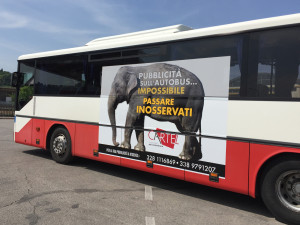 Decorazione pullman di linea SVT FTV Cartel pubblicità