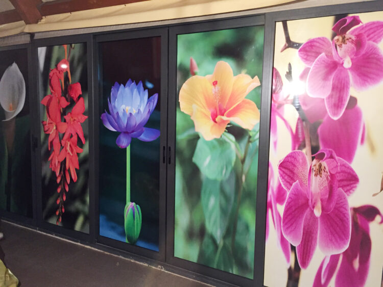 Decorazione vetrine locale con adesivi stampati in digitale