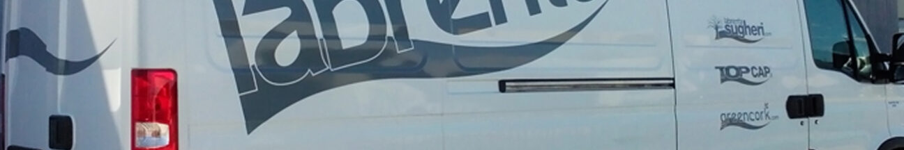 IVECO DAILY PASSO LUNGO - sdecorazione e decorazione