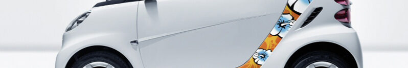 smart fortwo Smart art sticker