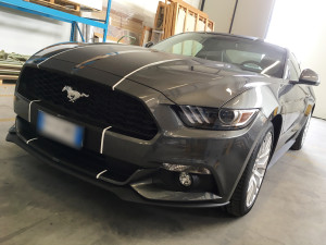 ford mustang grey stripes