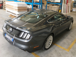 ford mustang grey stripes