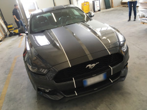 ford mustang grey stripes
