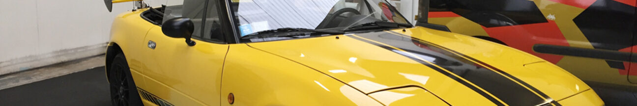 mazda mz5 stripes strisce